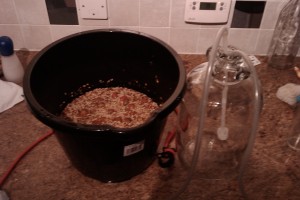 Rosehip wine in the making