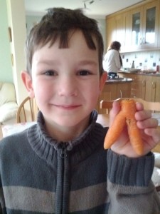 It's a carrot. Honest.