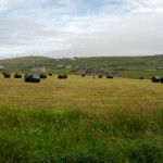 Windows of opportunity